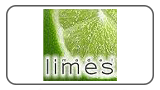 Limes Model