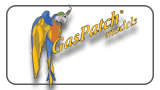 GasPatch Models